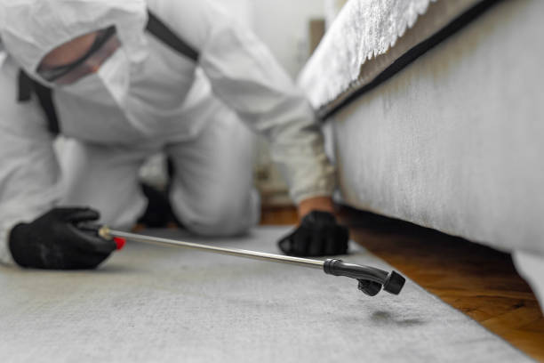 Professional Pest Control technician working in Clifton, CO