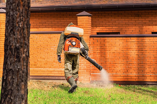 Trusted Fumigation Services service in Clifton, CO - Nex Pest Control